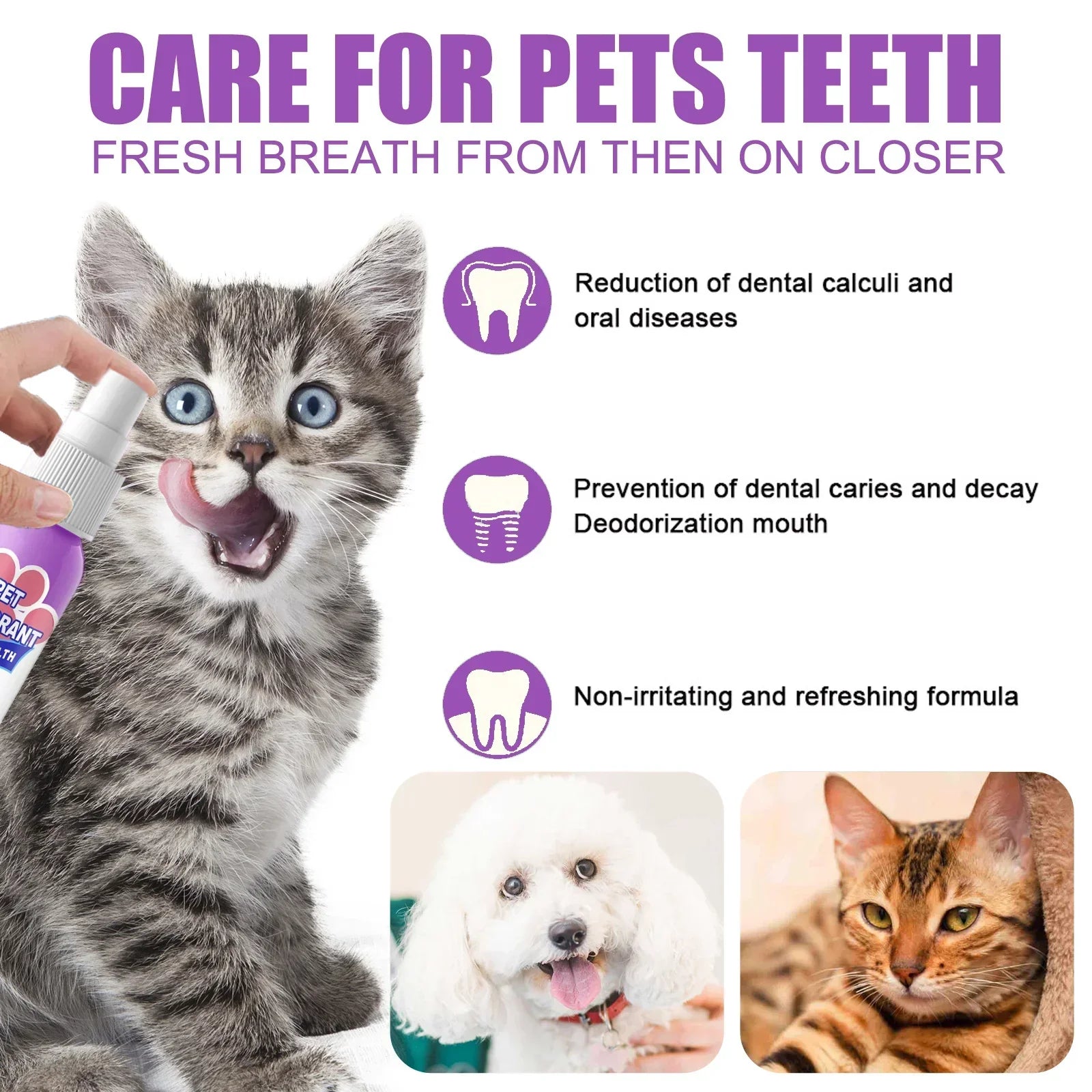 PearlyPaws™ Pet Oral Health Care (1+1 FREE)