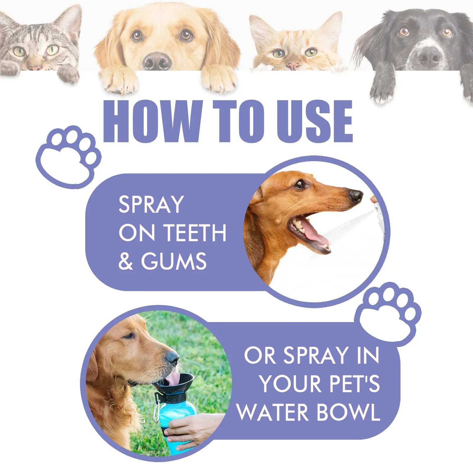 PearlyPaws™ Pet Oral Health Care (1+1 FREE)